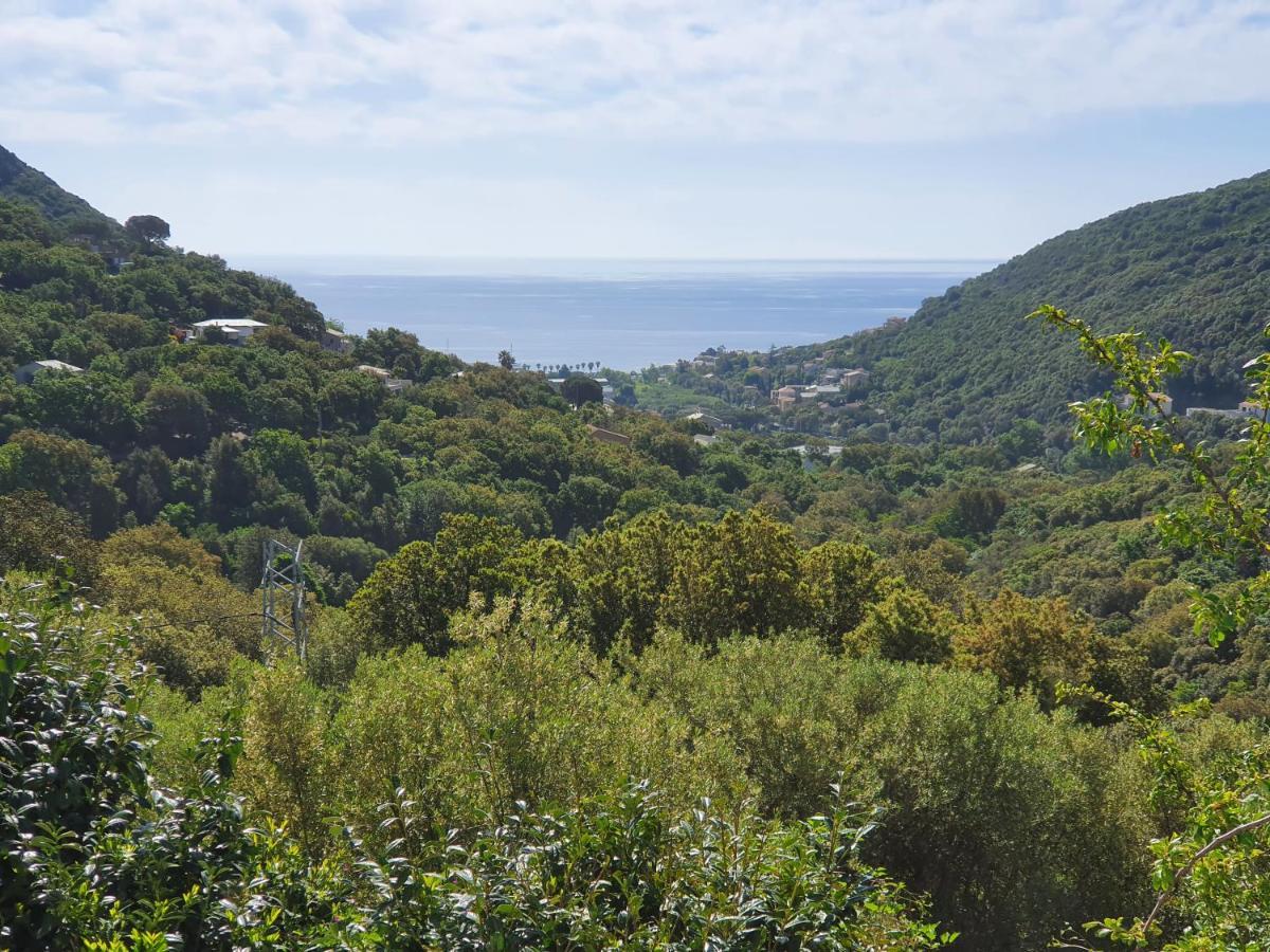 Cap Corse Uribellinu 2 Formule Petit Dejeuner Santa-Maria-di-Lota Экстерьер фото